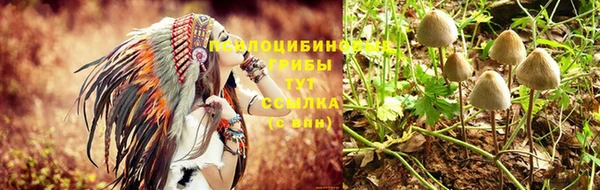 эйфоретик Волоколамск