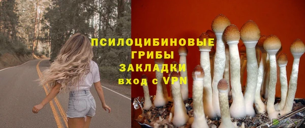 jwh Верхний Тагил