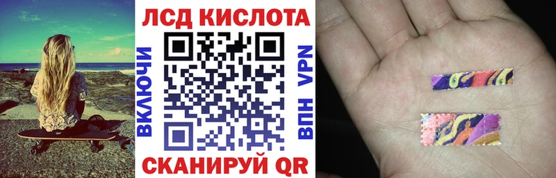 mega онион  Каргополь  Наркотические марки 1,5мг 
