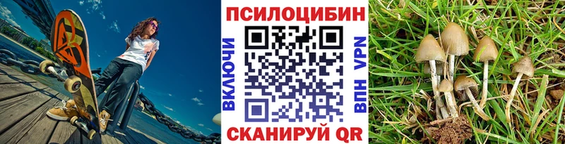 Галлюциногенные грибы Psilocybe  хочу   Каргополь 