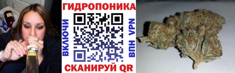 Канабис OG Kush  Каргополь 